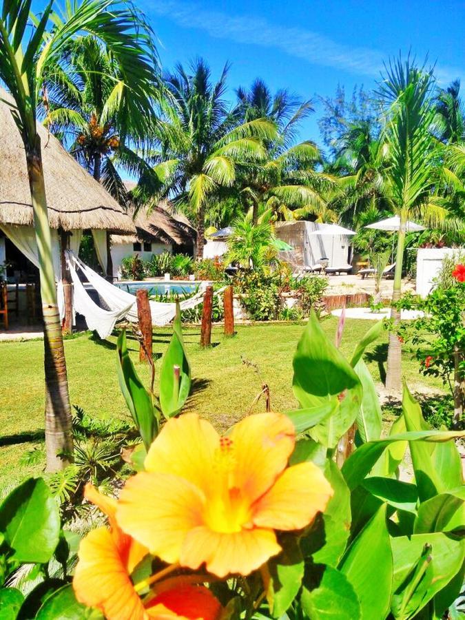 Maya Hotel Residence Isla Holbox ภายนอก รูปภาพ